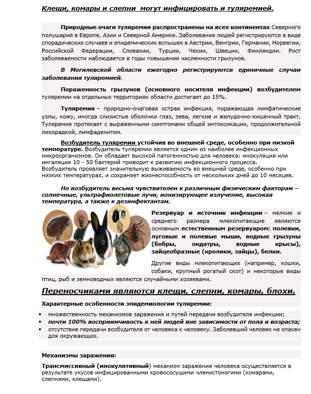 Изображение 17