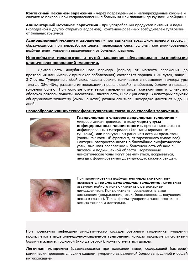 Изображение 18